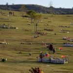 コロナ死者急増で葬儀出来ず遺体を冷凍保存、米最大の墓地