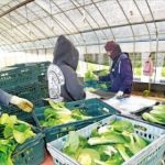 韓経：韓国中小企業「機械稼働できない」悲鳴…価値高まる外国人労働者「あといくらくれる？」