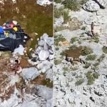 無人島に３３日、ココナツで生き延びた３人を救助　米沿岸警備隊