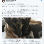 【速報】バイデン家族、突然ホワイトハウス退去