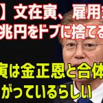 【韓国】文在寅、雇用対策で7.6兆円をドブに捨てるｗ