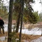 観光ガイド、クマに襲われて死亡　米イエローストーン国立公園近く