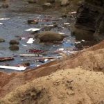 米サンディエゴ沖で船転覆　３人死亡、２０人以上病院に　移民の密航船か