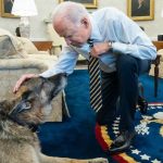 バイデン米大統領夫妻、愛犬チャンプの死を公表