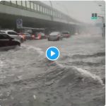 【緊急拡散】上海台風の被害がヤバすぎる！（動画あり）