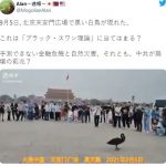 【速報】中国でバブル崩壊のサインが出てしまうｗ　（動画あり）