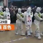 動画あり【まるで文化大◯命】中国ではロックダウンのルールに違反した者は、顔写真と名前を書いたプラカードを下げて街中を歩かされ、養豚用のトラックの荷台に乗せられて晒される