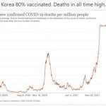 【画像あり】韓国のコロナ犠牲者数の伸び方がヤバすぎる