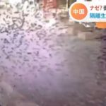 【速報】中国バブルが破裂する前兆ｗ （動画あり）