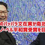 韓国のパッパラ文在寅が南北終戦宣言でノーベル平和賞受賞を目指すｗ