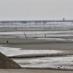 「本当は違法行為なんて…」声にならない悲鳴　アサリ産地偽装の背景に海の異変