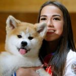 ザギトワさんの愛犬「マサル」の今の姿がこれだ。大きくなった私をみて