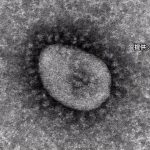 【速報】新型コロナ 東京都で新たに1万2935人の感染確認　“オミクロン株”重症病床使用率35.1％