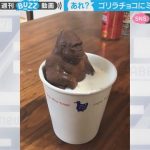 「I’ll be back」ミルクに浸かるゴリラチョコが迎えた衝撃結末に177万人が爆笑
