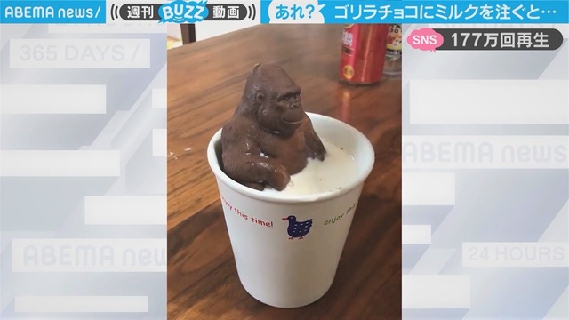 「I’ll be back」ミルクに浸かるゴリラチョコが迎えた衝撃結末に177万人が爆笑 「I’ll be back」ミルクに浸かるゴリラチョコが迎えた衝撃結末に177万人が爆笑