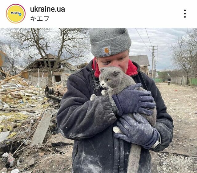 家族を亡くし家も失ったウクライナ男性、がれきの中から愛猫を発見し抱きしめる姿に反響 家族を亡くし家も失ったウクライナ男性、がれきの中から愛猫を発見し抱きしめる姿に反響