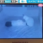 人知れず赤ちゃんを見守る猫 カメラが捉えた決定的瞬間が「天使と天使」「尊すぎる」と330万回再生