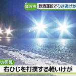 飲酒運転で歩行者にけがをさせ逃走か　26歳の男を逮捕　愛知・稲沢市