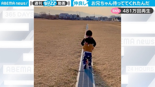 「全ママパパが泣く」お兄ちゃんの懐に“よちよち”歩きの弟が…幼い兄弟の心温まる光景に500万人が感動