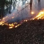山頂でカップめんのお湯沸かすもNGに”日本一厳しい？”　山火事防止条例施行のワケ