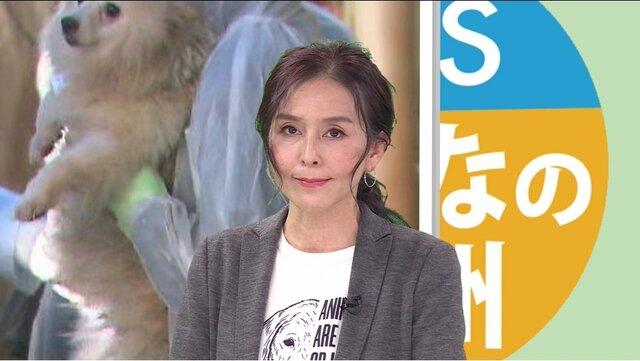 杉本彩さん絶句「犬がぼろ雑巾のように…」　“史上最悪”犬452匹虐待事件の初公判【長野発】