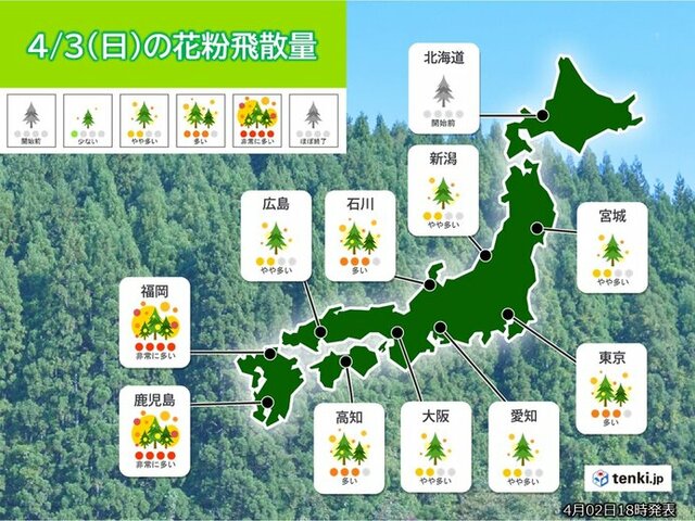 3日　花粉情報　九州はヒノキ花粉が大量飛散　近畿から関東は雨でも対策を