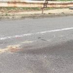 「縁石だと思って…」トラック運転手がひき逃げか