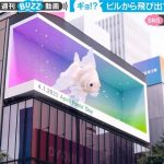 ビルから飛び出す“巨大な金魚” 目を疑う光景に「え、どこまで飛び出すの」驚きの声