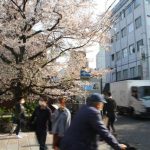 似た人見て「今も生きてるんじゃないか」　京都・祇園暴走事故、遺族の10年
