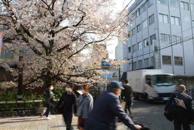 似た人見て「今も生きてるんじゃないか」　京都・祇園暴走事故、遺族の10年