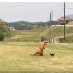 もし飼い主がティラノサウルスになったら... 愛犬と戯れる様子に「見ると元気でる」と反響