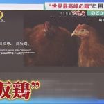 「ご飯が食べれないぐらい臭い」"高級鶏肉”育てる鶏舎周辺で悪臭・騒音　是正勧告受けた業者は【兵庫発】