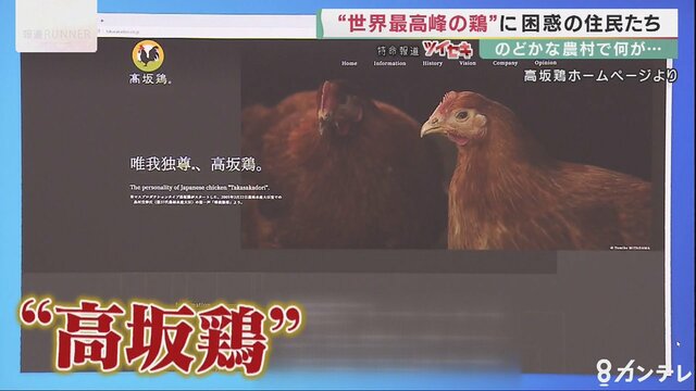 「ご飯が食べれないぐらい臭い」"高級鶏肉”育てる鶏舎周辺で悪臭・騒音　是正勧告受けた業者は【兵庫発】