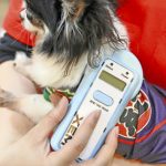 マイクロチップで犬猫守れ、迷子・飼育放棄の防止へ来月義務化…「体に異物かわいそう」の声も