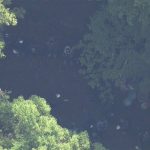 【速報】“特殊”警察犬も投入　山梨・道志村“人の骨”捜索現場　不明女児との関連 未だ分からず
