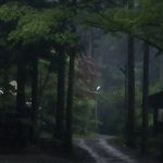 不明から2年8カ月…なぜ女児は見つからなかったのか　山梨・道志村