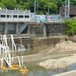 川底あらわ、吸い込まれる水　愛知・取水施設の大規模漏水