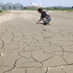 「水をくれ」枯れた田んぼ、続く農業用水停止　愛知の漏水、深刻被害