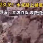 【悲報】中国、耕作地維持を命じられる　⇒　緑色の塗料を地面にかけるｗ （動画あり）￼