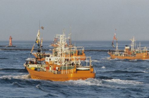 【緊急速報】ロシア、日本漁船の操業停止￼