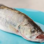 魚にPCR検査を義務付け。「こんな馬鹿馬鹿しい対策はない」と批判も 中国