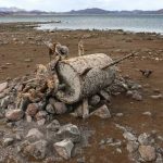 第二次世界大戦の不発弾から白骨化した遺体まで… 干ばつの影響で「思いもよらぬ発見」が世界各地で相次ぐ