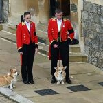 英女王の葬列、愛犬のコーギーも見送る