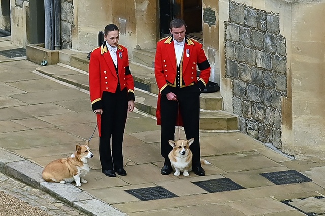 英女王の葬列、愛犬のコーギーも見送る