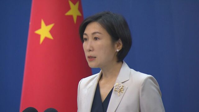 習近平国家主席批判スローガンに中国政府「知らない」　厳しい情報統制も