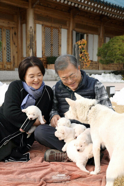 韓国前大統領　南北首脳会談で贈られた犬「もう飼うつもりはない」