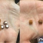 ソウルのドッグランに「犬のおやつ偽装」水銀電池