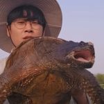誰が飼って捨てたのか…人にも噛みつく「奇怪な捕食者」の正体＝韓国