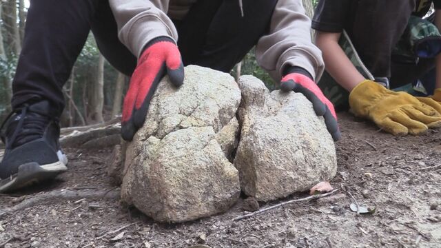 「これヤバいやつちゃうんか…」12歳と9歳の兄弟が近所の山で歴史的大発見 平安後期-鎌倉にかけての墓か