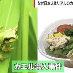 サラダ麺にカエル混入のショック 広島大准教授「思うほど細菌は多くない」「干物に近い状態なら生食より安全」 そもそもなぜ大人になると嫌いに？